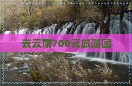 去云南700元旅游团