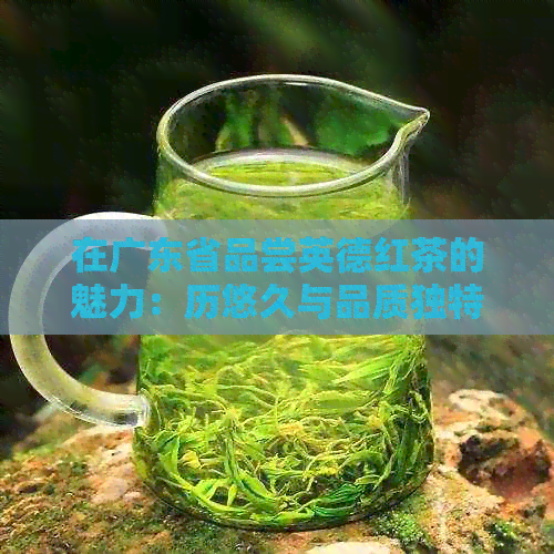 在广东省品尝英德红茶的魅力：历悠久与品质独特