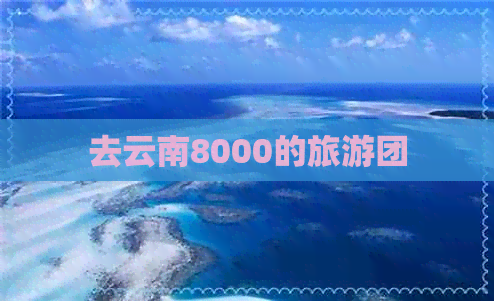 去云南8000的旅游团