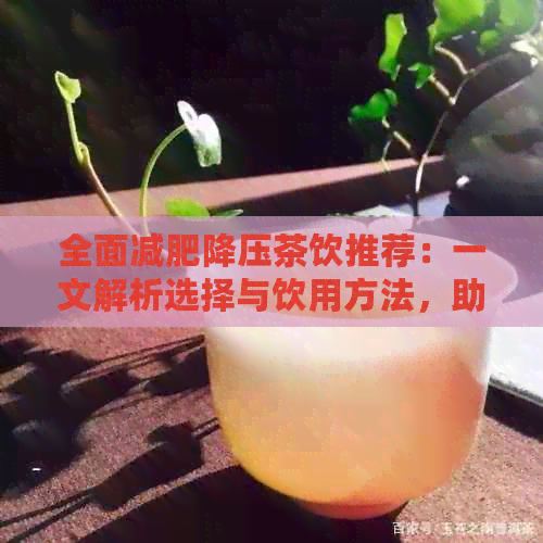 全面减肥降压茶饮推荐：一文解析选择与饮用方法，助您轻松达成健目标