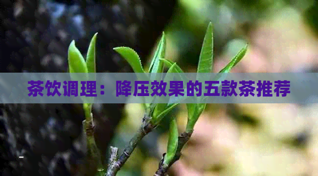 茶饮调理：降压效果的五款茶推荐