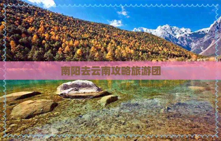 南阳去云南攻略旅游团