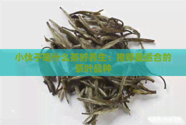 小伙子喝什么茶好养生：推荐最适合的茶叶品种