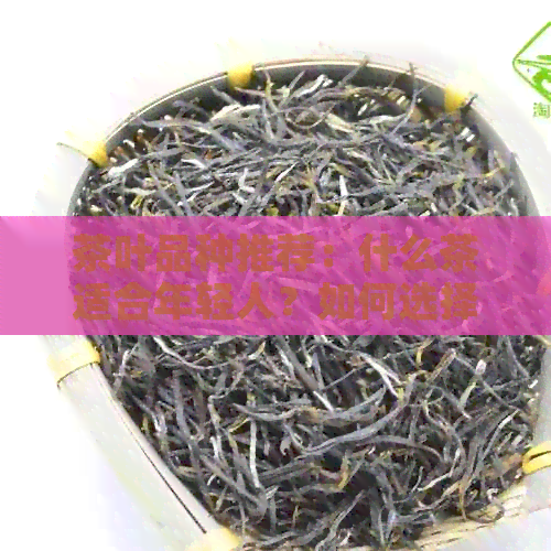 茶叶品种推荐：什么茶适合年轻人？如何选择适合自己的茶饮？