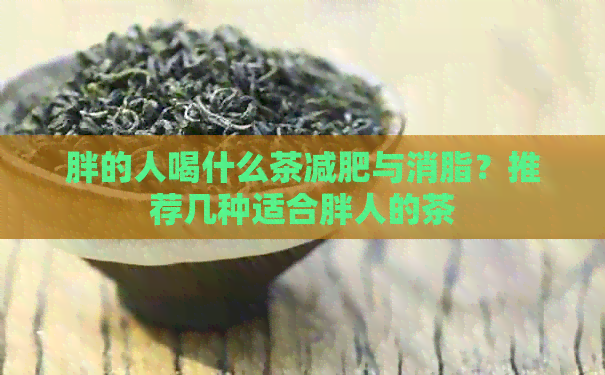 胖的人喝什么茶减肥与消脂？推荐几种适合胖人的茶