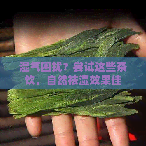 湿气困扰？尝试这些茶饮，自然祛湿效果佳