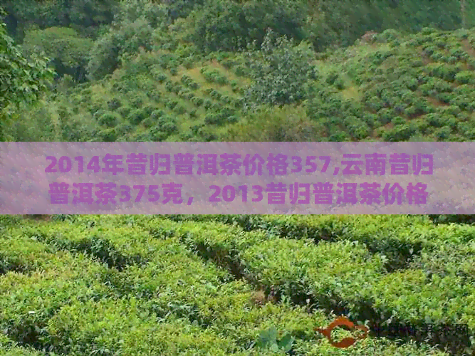 2014年昔归普洱茶价格357,云南昔归普洱茶375克，2013昔归普洱茶价格