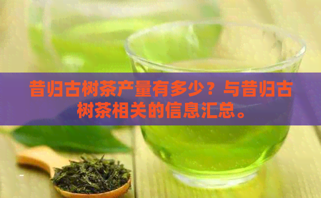 昔归古树茶产量有多少？与昔归古树茶相关的信息汇总。