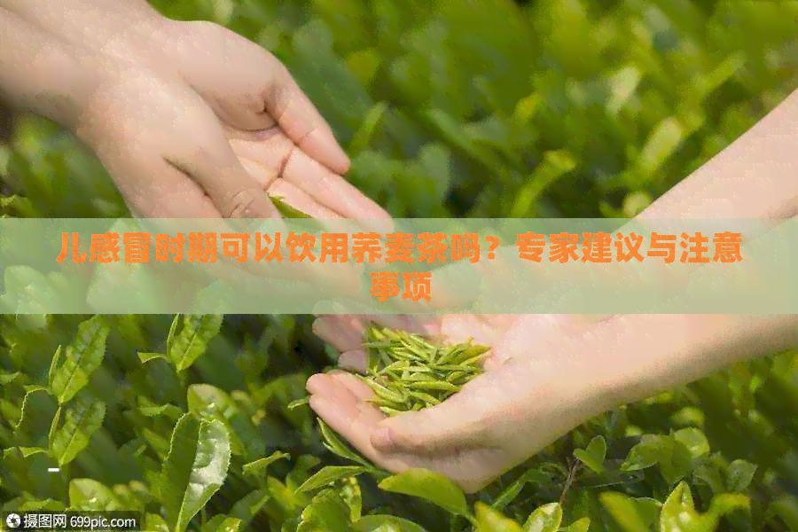 儿感冒时期可以饮用荞麦茶吗？专家建议与注意事项