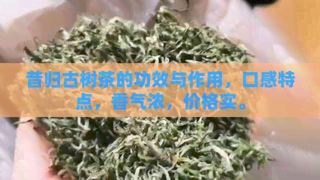 昔归古树茶的功效与作用，口感特点，香气浓，价格实。