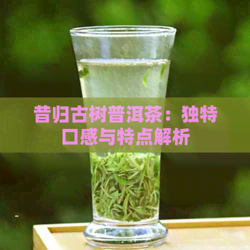 昔归古树普洱茶：独特口感与特点解析