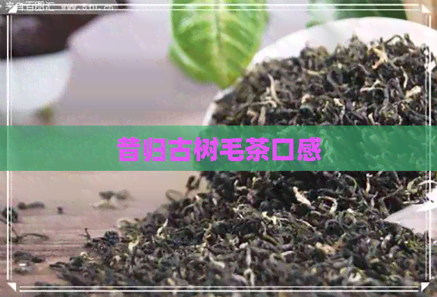 昔归古树毛茶口感