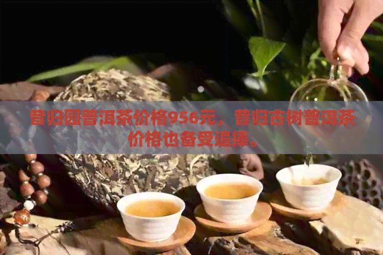 昔归园普洱茶价格956元，昔归古树普洱茶价格也备受追捧。