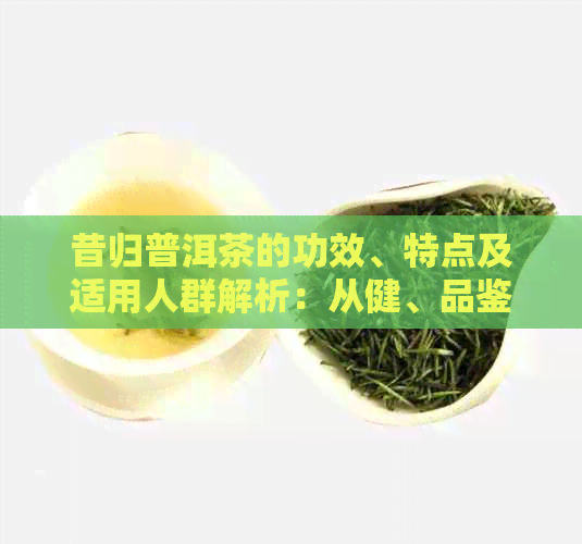 昔归普洱茶的功效、特点及适用人群解析：从健、品鉴到饮用技巧一应俱全