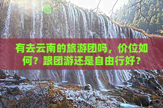 有去云南的旅游团吗，价位如何？跟团游还是自由行好？