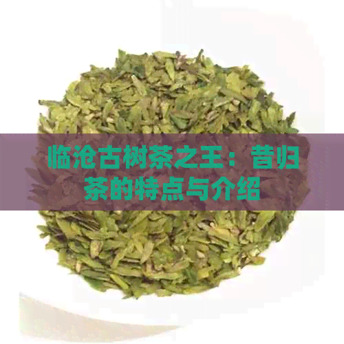 临沧古树茶之王：昔归茶的特点与介绍