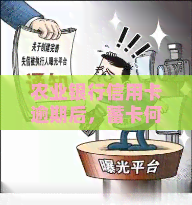 农业银行信用卡逾期后，蓄卡何时被扣款？