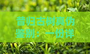 昔归古树真伪鉴别：一份详尽指南，让您轻松掌握普洱茶行业内幕