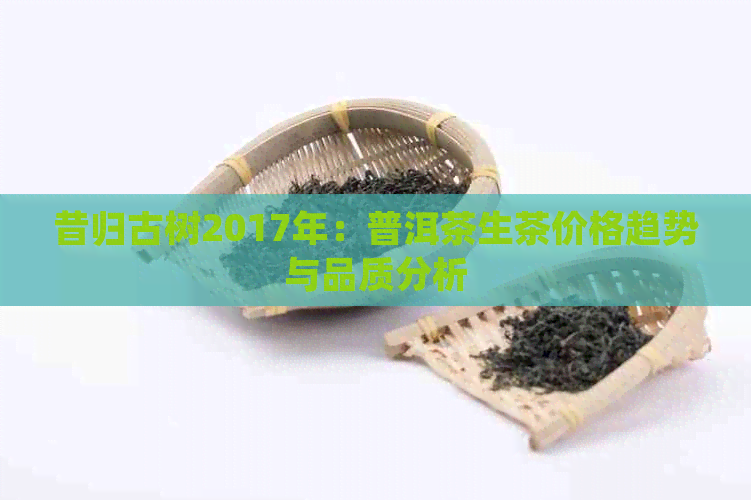 昔归古树2017年：普洱茶生茶价格趋势与品质分析