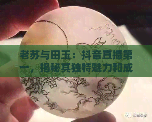 老苏与田玉：抖音直播之一，揭秘其独特魅力和成功秘诀！