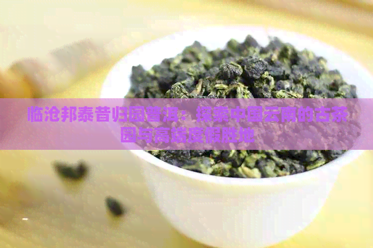 临沧邦泰昔归园普洱：探索中国云南的古茶园与高端度假胜地