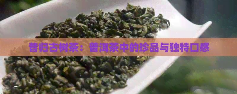 昔归古树茶：普洱茶中的珍品与独特口感