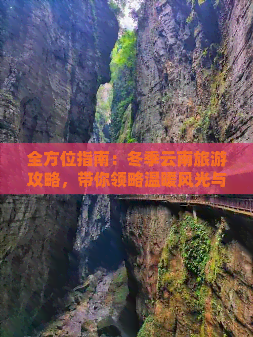 全方位指南：冬季云南旅游攻略，带你领略温暖风光与多元文化