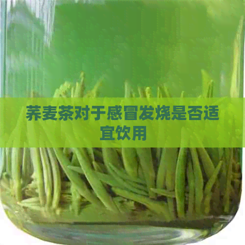 荞麦茶对于感冒发烧是否适宜饮用