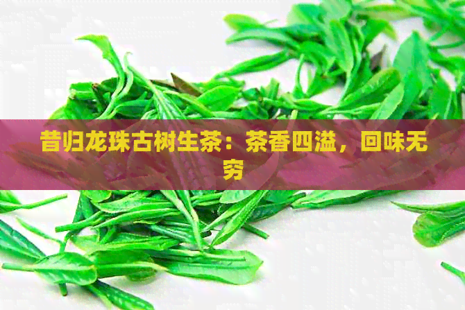 昔归龙珠古树生茶：茶香四溢，回味无穷