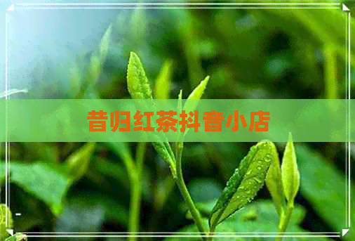 昔归红茶抖音小店