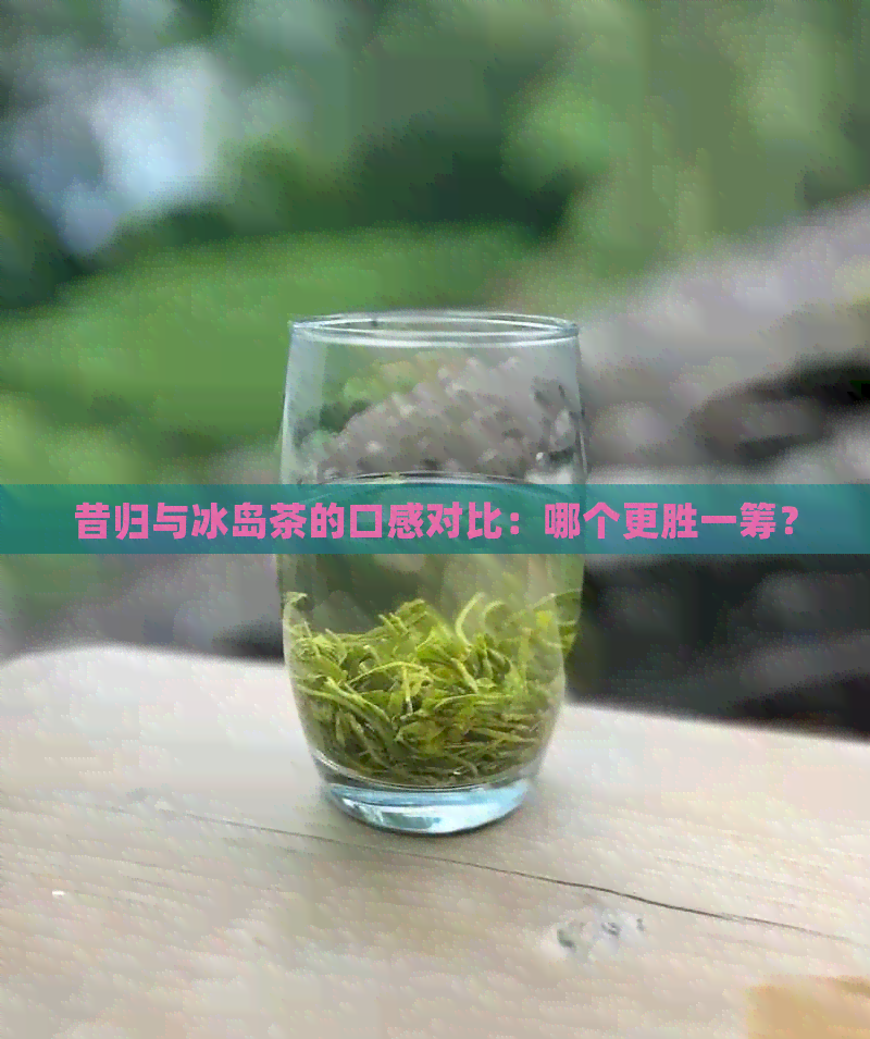 昔归与冰岛茶的口感对比：哪个更胜一筹？