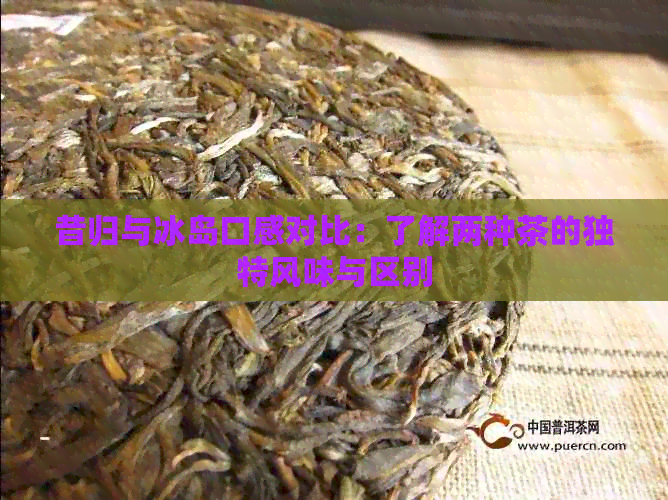 昔归与冰岛口感对比：了解两种茶的独特风味与区别