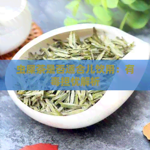 虫屎茶是否适合儿饮用：有担忧解析