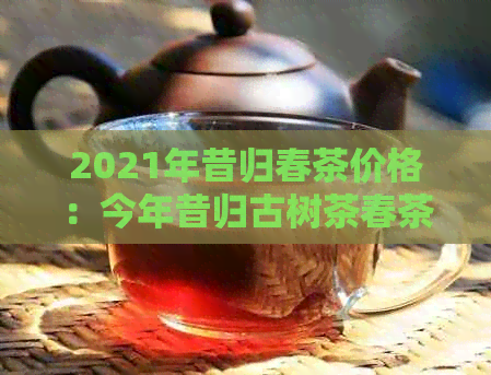 2021年昔归春茶价格：今年昔归古树茶春茶平均价格