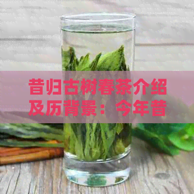 昔归古树春茶介绍及历背景：今年昔归古树茶春茶平均价格