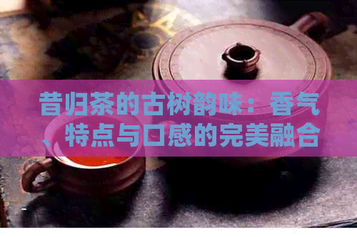 昔归茶的古树韵味：香气、特点与口感的完美融合