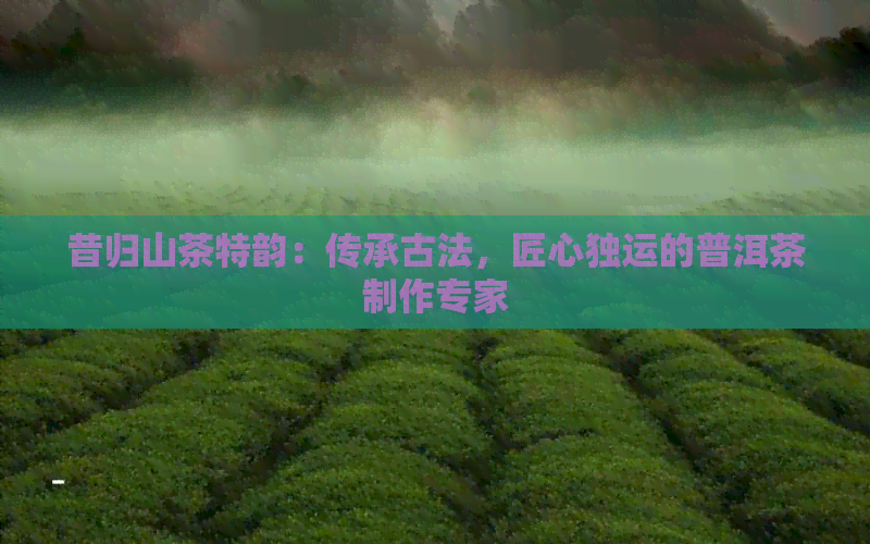 昔归山茶特韵：传承古法，匠心独运的普洱茶制作专家