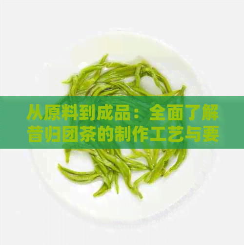 从原料到成品：全面了解昔归团茶的制作工艺与要点