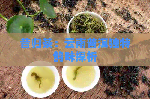 昔归茶：云南普洱独特韵味探析