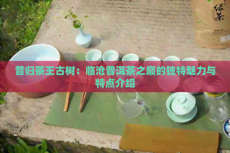 昔归茶王古树：临沧普洱茶之巅的独特魅力与特点介绍