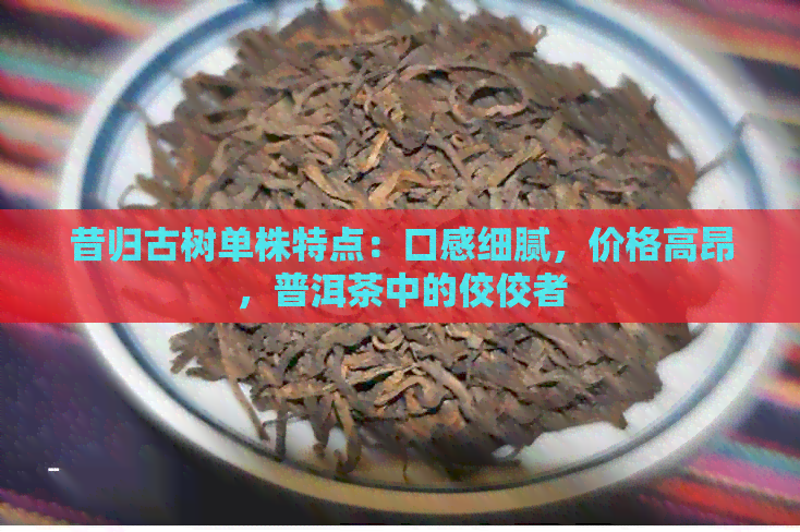 昔归古树单株特点：口感细腻，价格高昂，普洱茶中的佼佼者