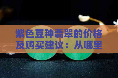 紫色豆种翡翠的价格及购买建议：从哪里购买最划算？