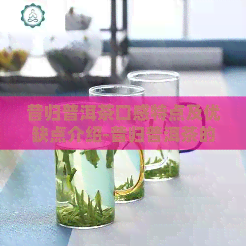 昔归普洱茶口感特点及优缺点介绍-昔归普洱茶的口感特点