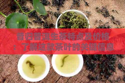 昔归普洱生茶特点及价格：了解这款茶叶的关键信息