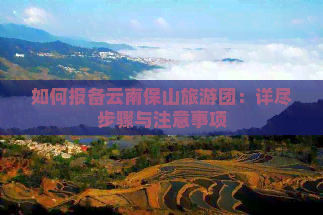 如何报备云南保山旅游团：详尽步骤与注意事项