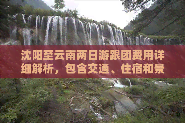 沈阳至云南两日游跟团费用详细解析，包含交通、住宿和景点门票等全面信息