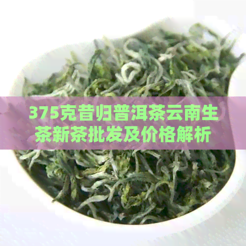 375克昔归普洱茶云南生茶新茶批发及价格解析