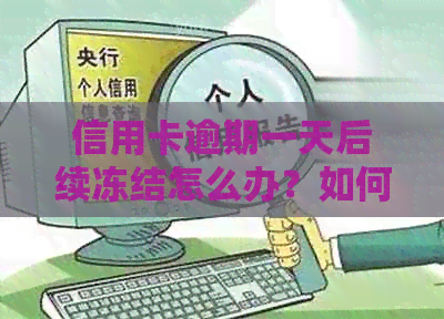 信用卡逾期一天后续冻结怎么办？如何避免逾期并恢复信用额度？