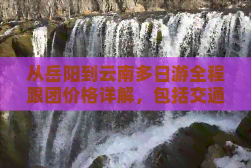 从岳阳到云南多日游全程跟团价格详解，包括交通、住宿和景点门票全面分析