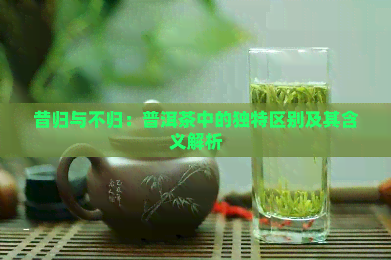 昔归与不归：普洱茶中的独特区别及其含义解析